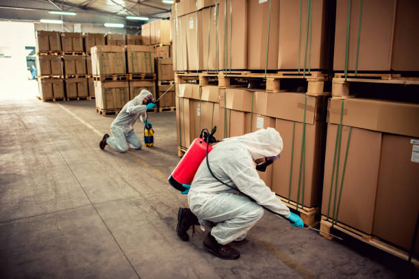 Best Local Pest Control Services  in Chillum, MD
