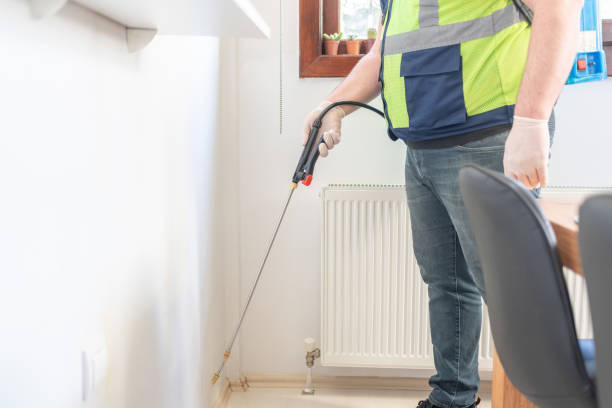 Trusted Chillum, MD Pest Control Experts