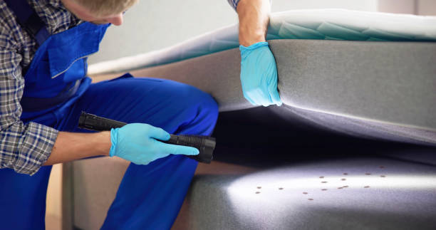 Best Pest Removal Services  in Chillum, MD