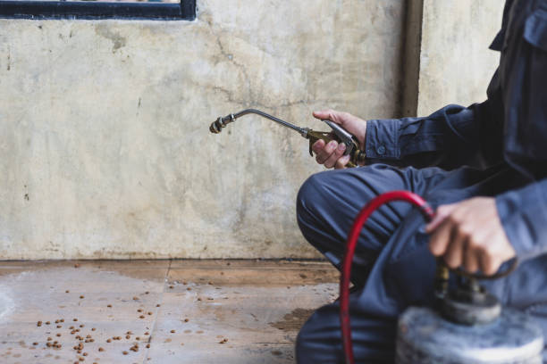 Best Pest Removal Services  in Chillum, MD